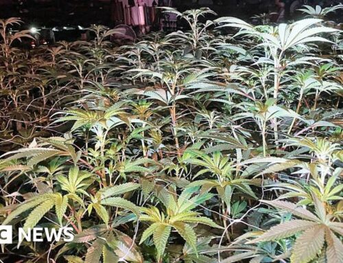 Village homes, a casino and under the M1