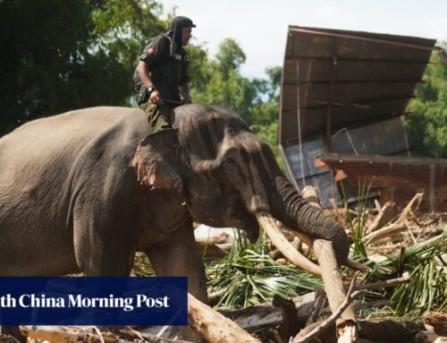 Southeast Asian floods set to threaten more wildlife due to climate change