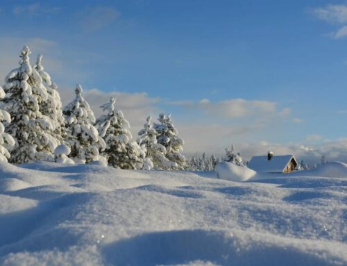 Bitcoin Price Forecast: BTC’s Recent Drop Isn’t a Winter, Analysts Says