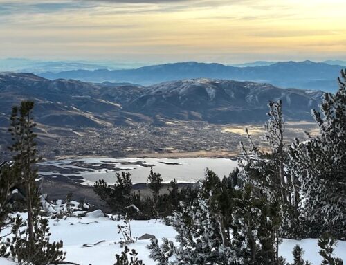 Egg shortages and Christmas trees: Looking back at Nevada’s top 2025 environmental stories