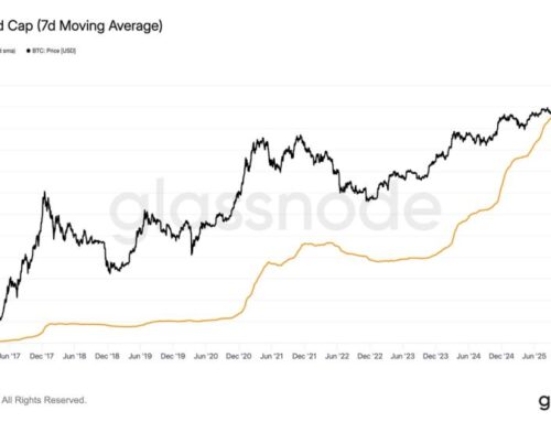 Bitcoin Price (BTC) analysis: At least one metric remains at a record high