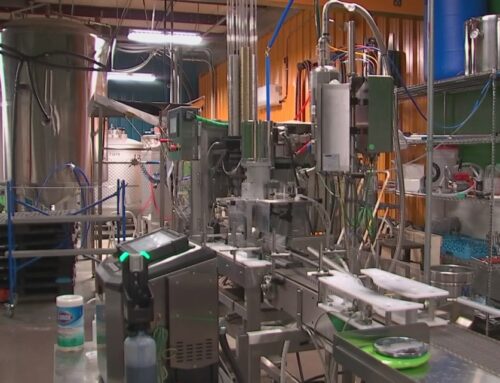 Ohio cannabis advocates launch referendum effort challenging new hemp and marijuana law