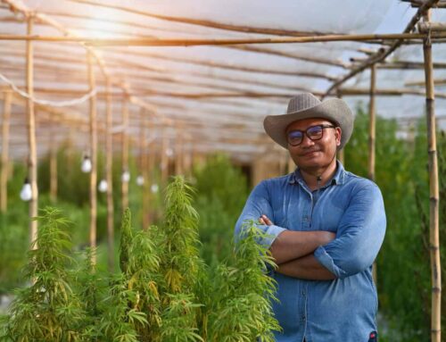 TFSA Investors: An Undervalued Cannabis Stock You Can Buy for $500 Right Now