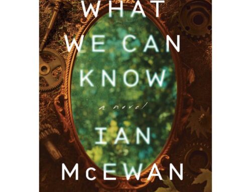 Seven books to help you work through the climate anxiety you developed in 2025
