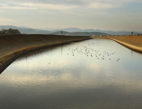 Trump’s plan to pump more water in California is ill-conceived and harmful, lawmakers say
