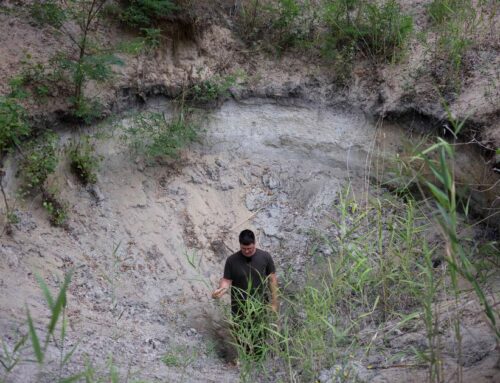 Hungary’s ‘water guardian’ farmers fight back against desertification