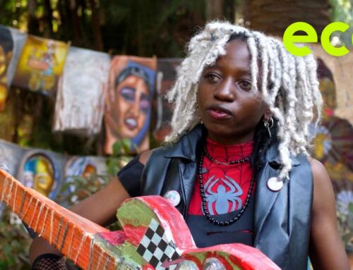 Novel ways to power environmental change in Africa