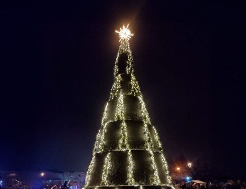 Europe plants first solar-powered Christmas tree — 42 cells producing energy from both fac
