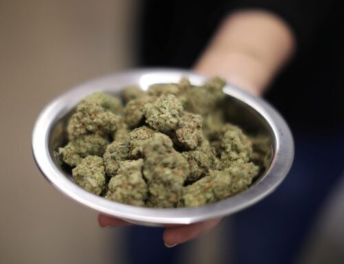 Colorado officials react as Trump weighs reclassifying marijuana