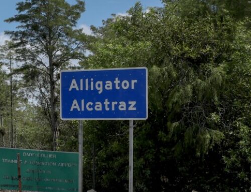 DHS Says ‘Alligator Alcatraz’ Doesn’t Need Environmental Review