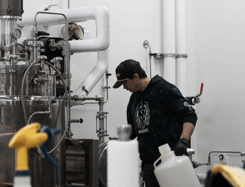 Colorado cannabis industry anticipates potential federal reclassification under Trump