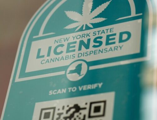 Lawsuit Against New York Cannabis Labor Peace Mandate Kept Alive