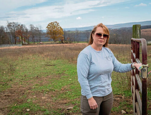 Area townships on front line as Pennsylvania eyes regulations for solar farms