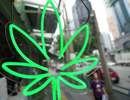 Recent cannabis taxes raise millions in California revenue