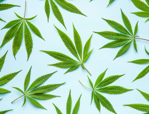 Okie Tokie Talk: Adolescent Cannabis Use in Oklahoma, the Sooner State