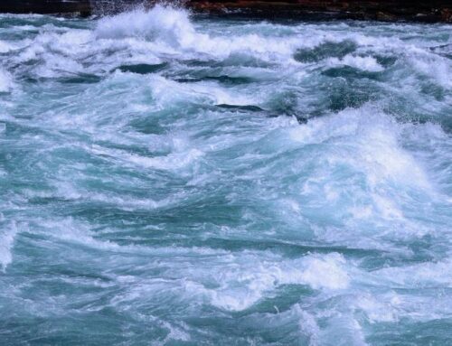 Bitcoin price news: BTC gives up early Monday gains, falling back below $88,000