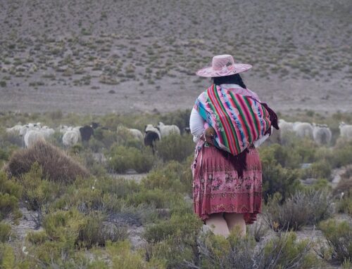 As Bolivia enters a new era, will economy trump the environment?