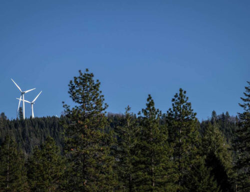 A California law was supposed to fast-track renewable energy. The state just shot down a k