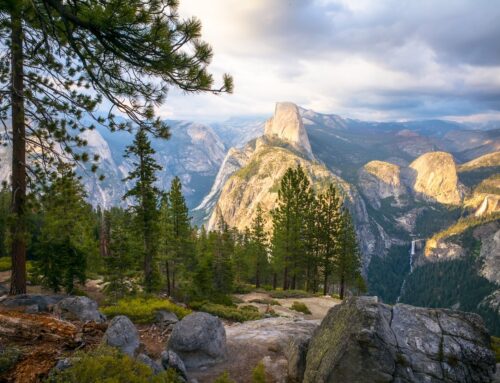 Highlights of Environment America’s work in 2025