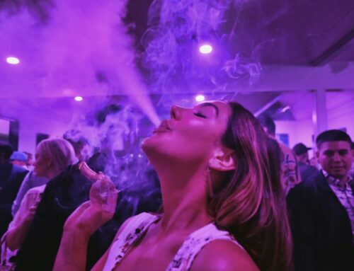 Cannabis stocks surge as White House weighs marijuana reclassification