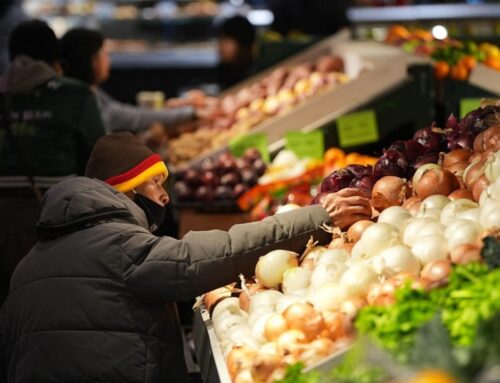 Majority says climate change hurting affordability: Poll