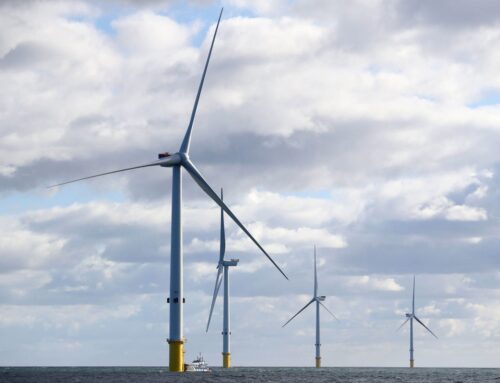 Judge strikes down Donald Trump’s executive order on wind energy