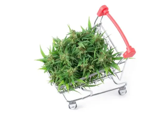 Cannabis e-commerce option is bringing industry closer to normal
