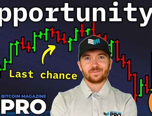 Bitcoin Treasury Companies Are Undervalued