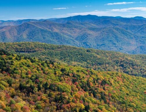 Conservancy secures 74 acres in Watauga County