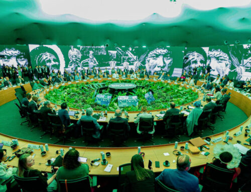 2025: The year the US gave up on climate, and the world gave up on us