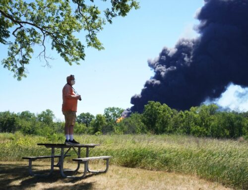 Illinois among states with most cuts to environmental agencies, report shows