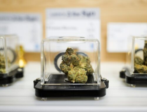 Michigan marijuana businesses, customers see hazy future with new tax