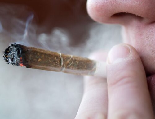 Consumers Report Quality of Life Improvements From Medical Cannabis Use