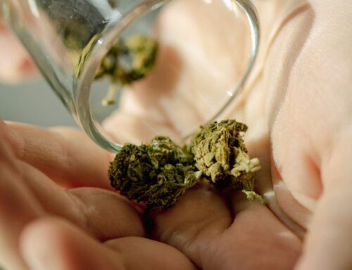 Vomiting Syndrome Linked to Cannabis Is on The Rise in The US