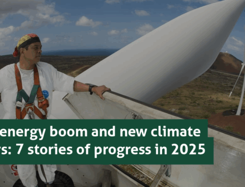 Clean energy boom and new climate leaders: 7 stories of progress in 2025