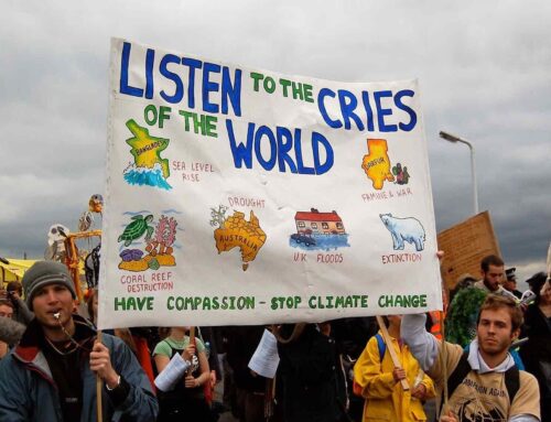 Our Best Climate & Environment Stories of 2025