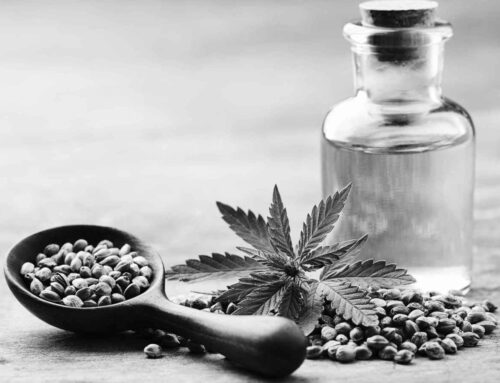 Culture Council: Cultivating Success: What Seed Companies Can Teach the Cannabis Industry