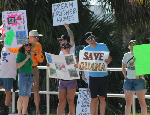 Here are some of Florida’s biggest environmental stories of 2025