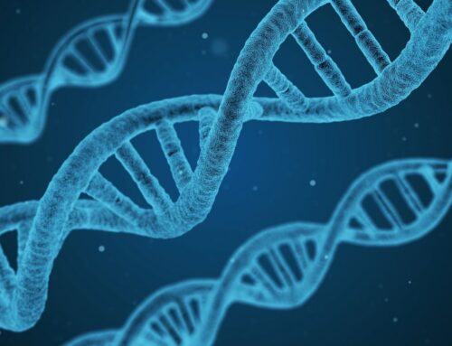 Genetics, Environment, and Personality