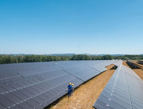 India to require domestically produced solar cells for all projects from June 2026