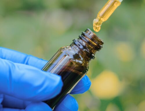 Microdosing Cannabis Pauses Alzheimer’s Decline in Unprecedented Trial