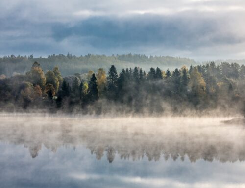 Estonia spends almost a billion a year to protect its environment
