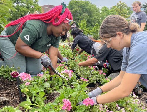 Cincinnati’s Next Generation of Environmental Activists