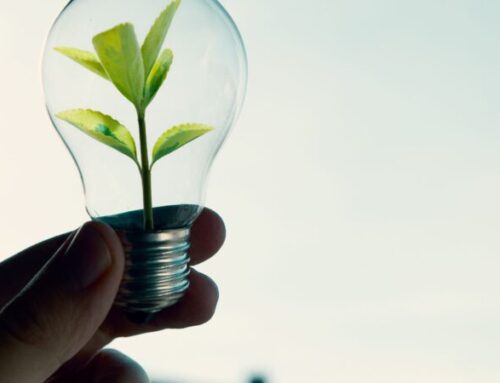 Dominican Republic wastes renewable energy while fossil fuel thermoelectric plants operate