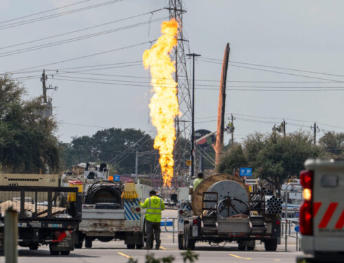 Greenpeace Scrutinizes the Environmental Record of the Company That Sued the Group