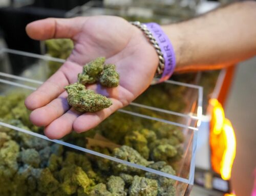 Cannabis bill gets lost in Christmas season