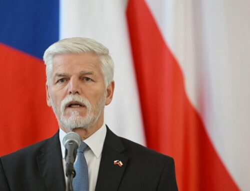 Czech president hints he could veto disputed environment minister pick