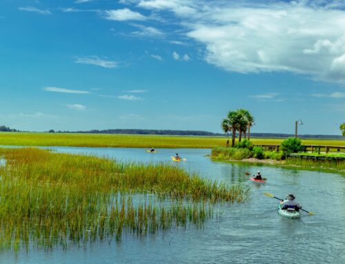 Year in review 2025: Holding the line, protecting what matters