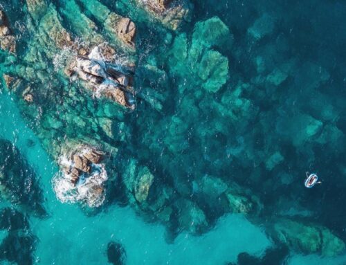 Commission launches consultation on marine protection rules