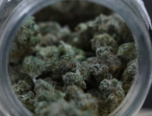 Baker College launches cannabis career certificate programs